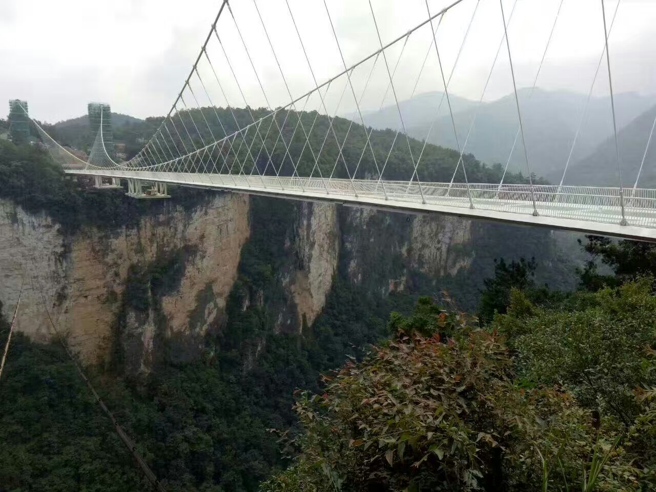 纯干货！张家界大峡谷玻璃桥专属攻略-大司部落自驾旅游网